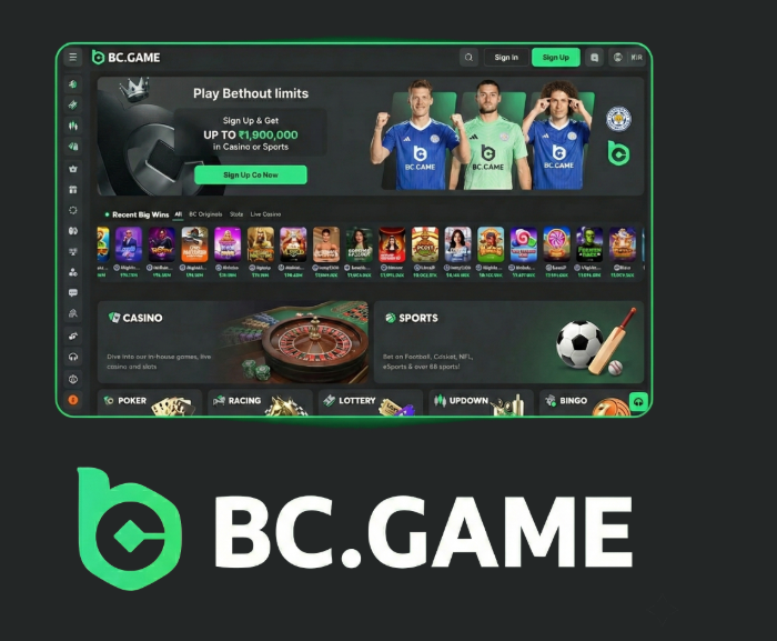 Experience the Thrill of Gaming with the BC.Game App