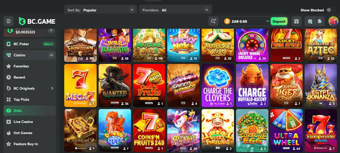 BC.Game Login Process Explained A Step-by-Step Guide